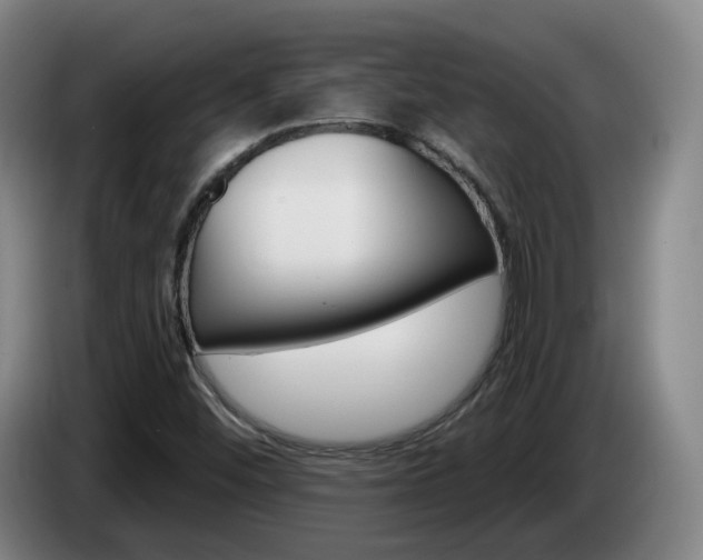 X0000085321452200703091105