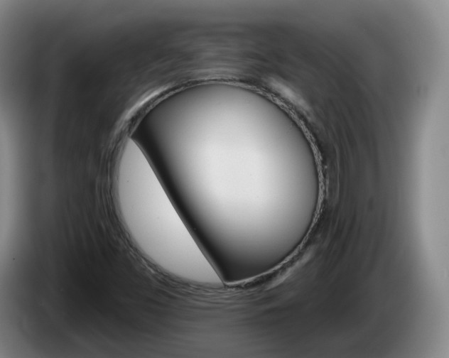 X0000085321453200703091105