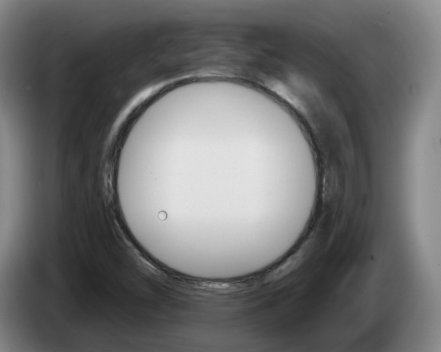 X0000085321454200703091105