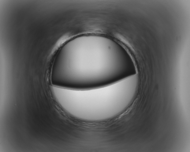X0000085321455200703091105