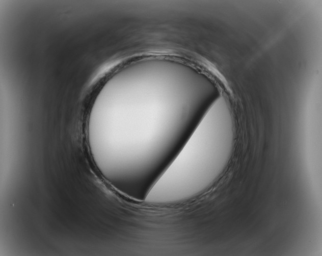 X0000085321456200703091105