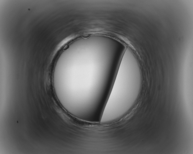 X0000085321458200703091105