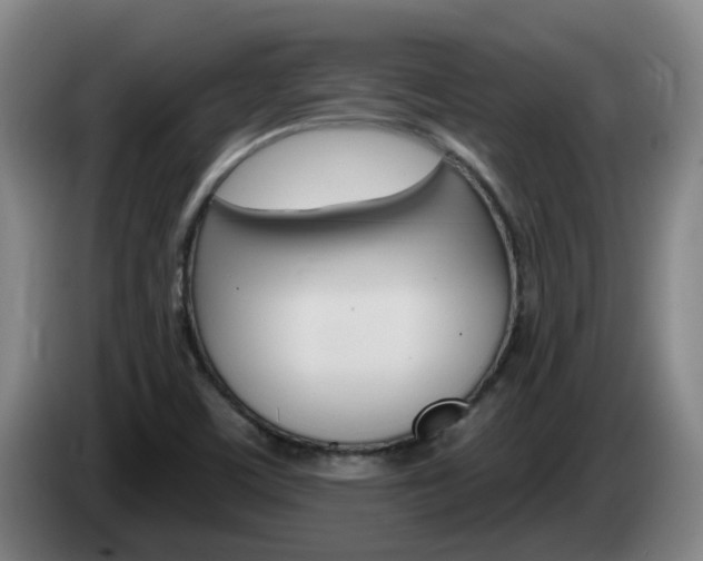 X0000085321459200703091105