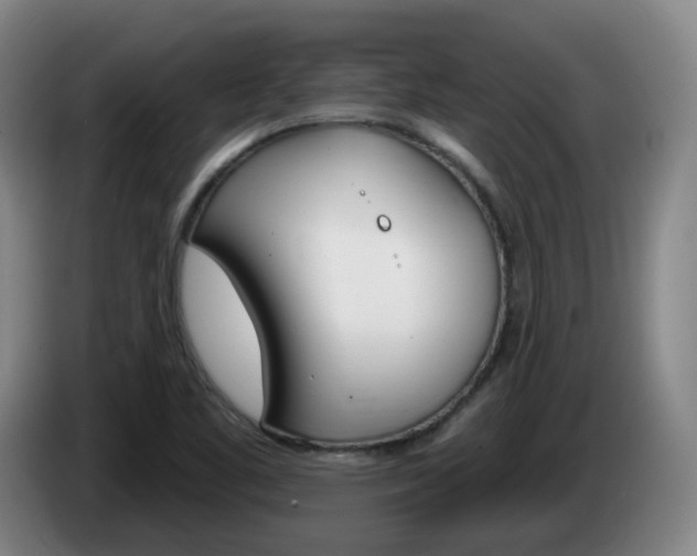X0000085321461200703091105