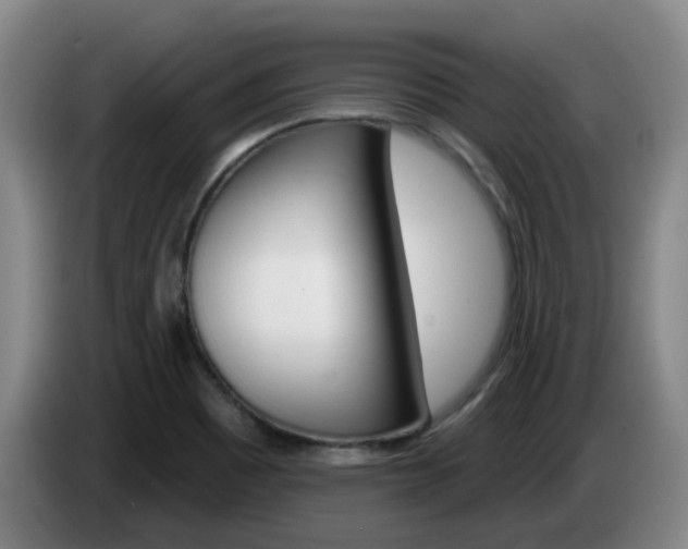 X0000085321465200703091105