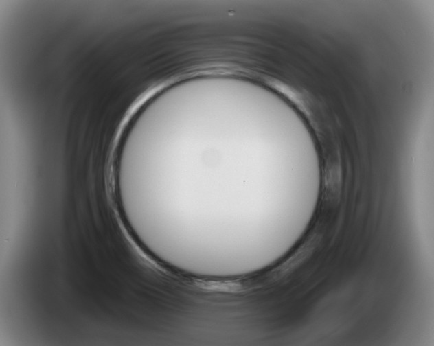 X0000085321466200703091105