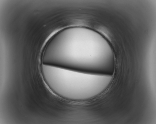 X0000085321468200703091105