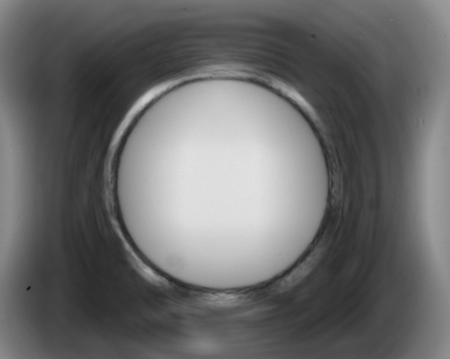 X0000085321470200703091105