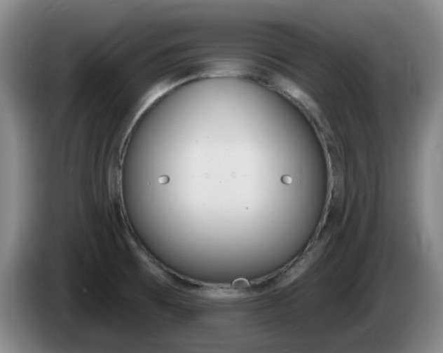 X0000085321473200703091105