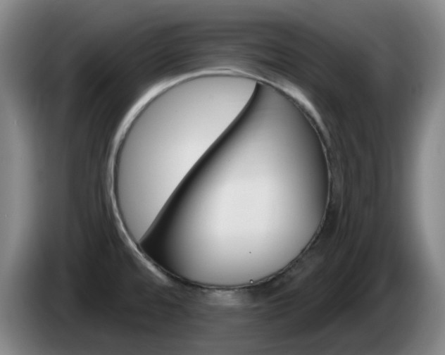 X0000085321480200703091104