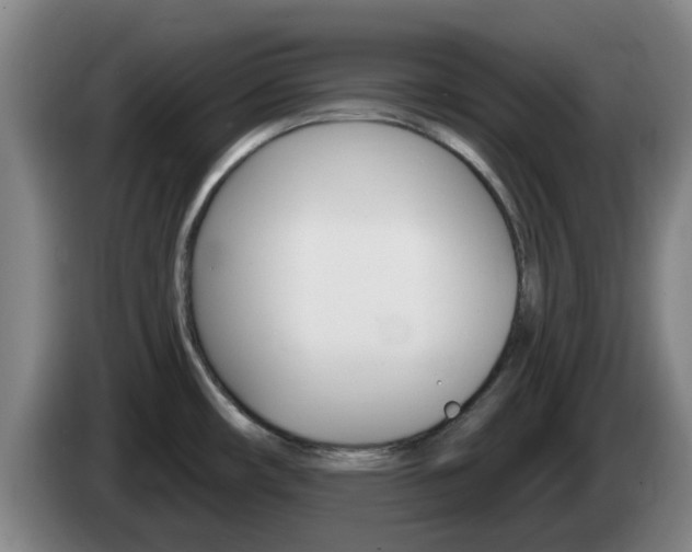 X0000085321482200703091104