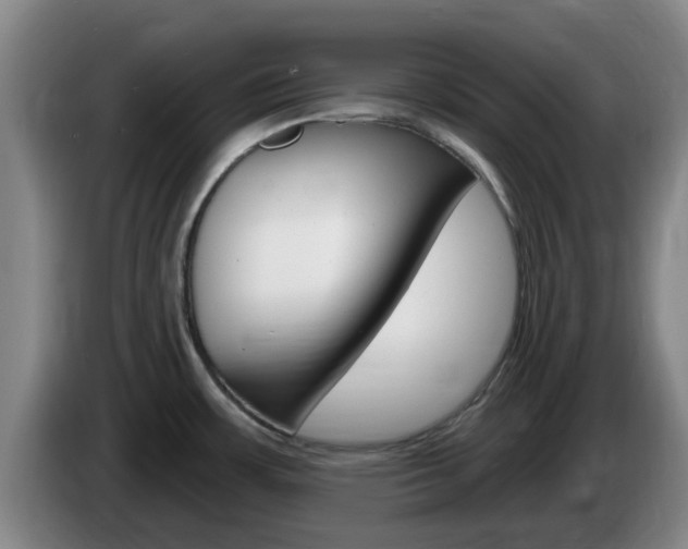 X0000085321483200703091104