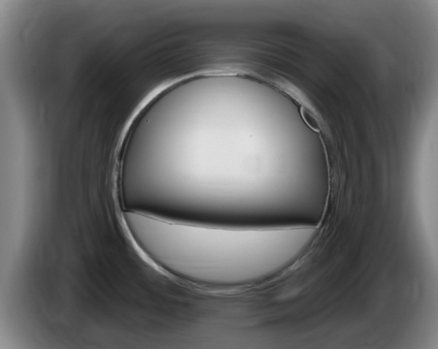 X0000085321484200703091104