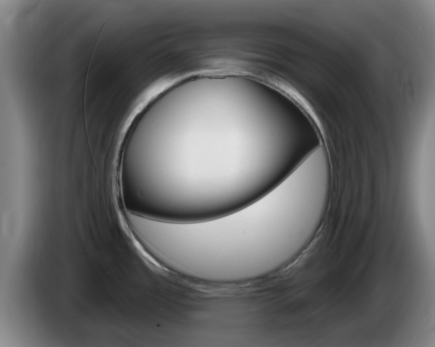 X0000085321485200703091104