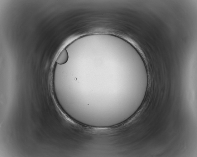 X0000085321486200703091104