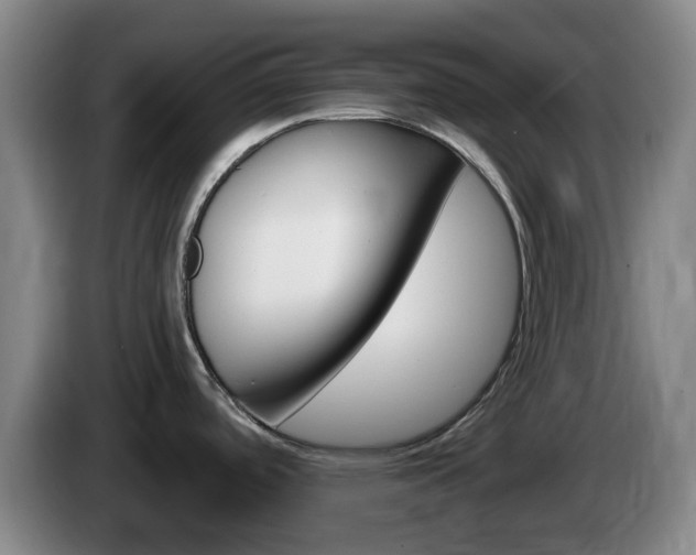 X0000085321488200703091104
