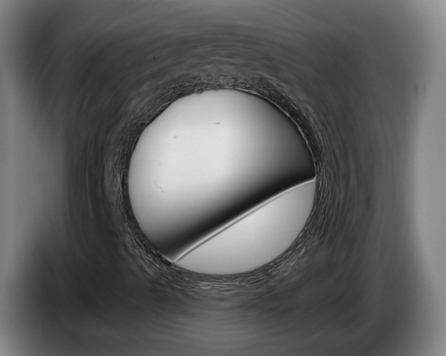 X0000085321489200703091104