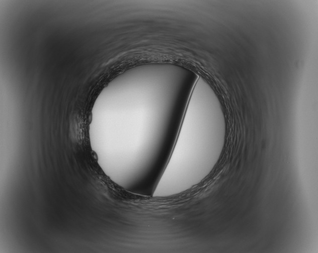 X0000085321490200703091104