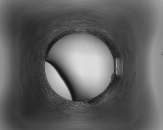 X0000085321491200703091104