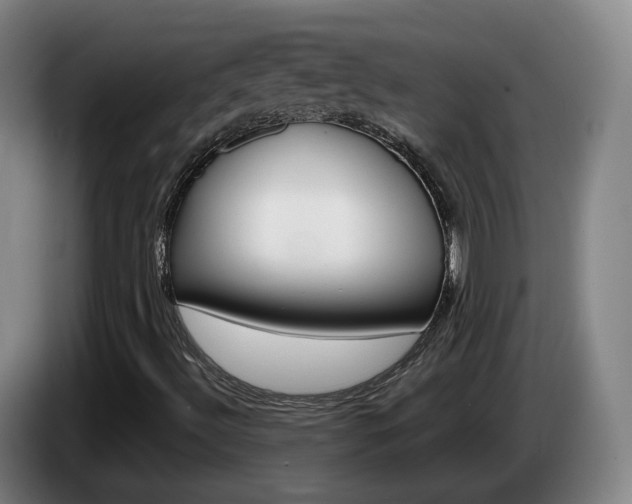 X0000085321492200703091104