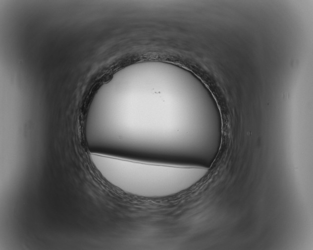 X0000085321493200703091104