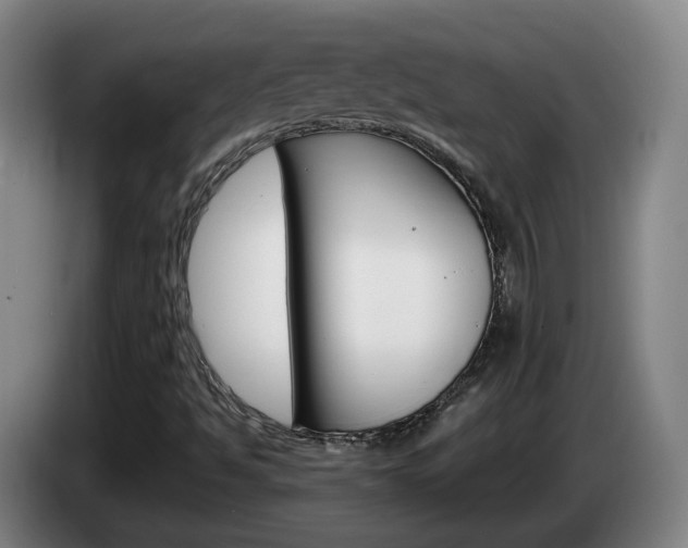X0000085321494200703091104