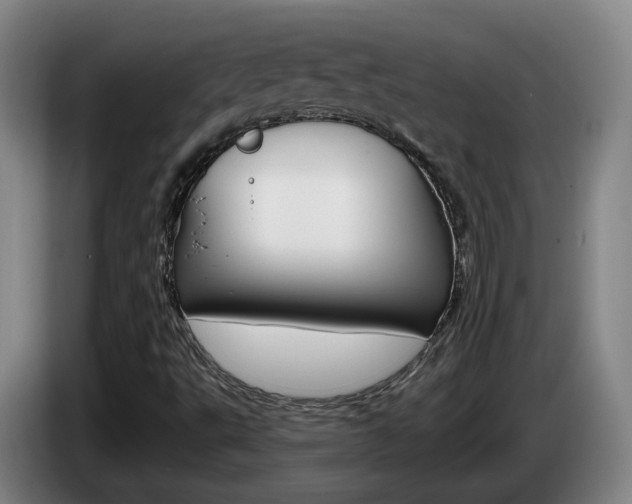X0000085321495200703091104