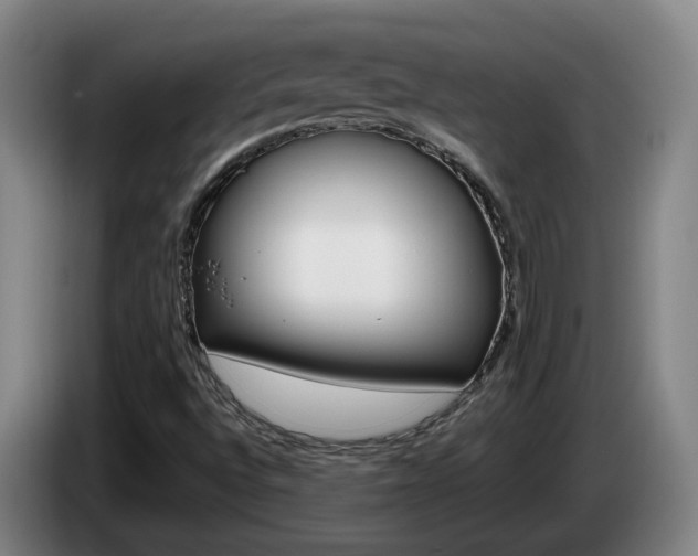 X0000085321496200703091104