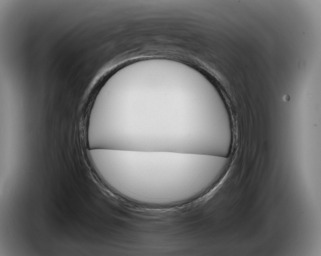 X0000085321498200703091104