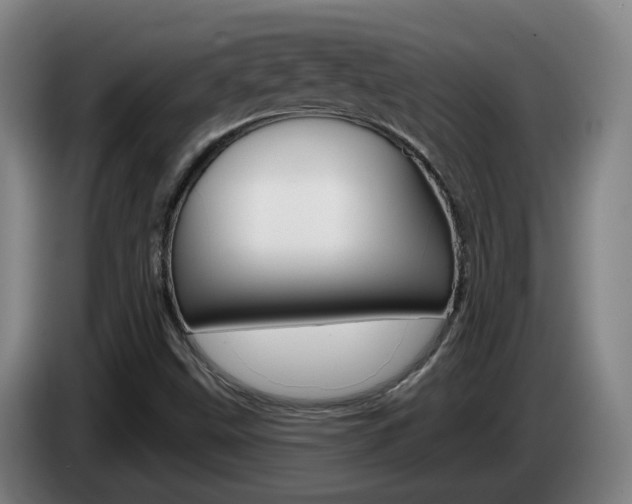 X0000085321499200703091104