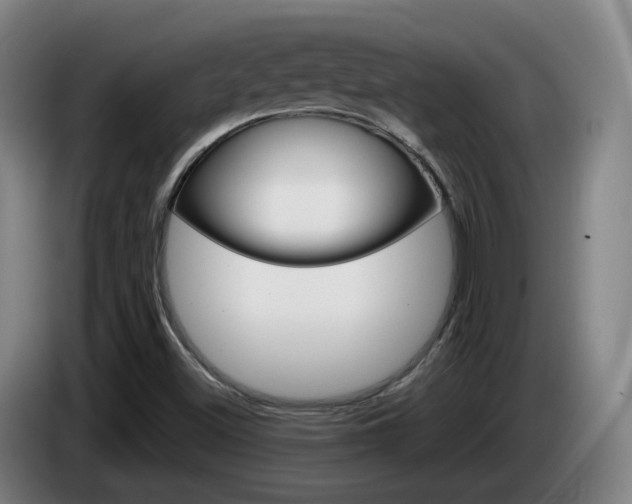 X0000085321500200703091104