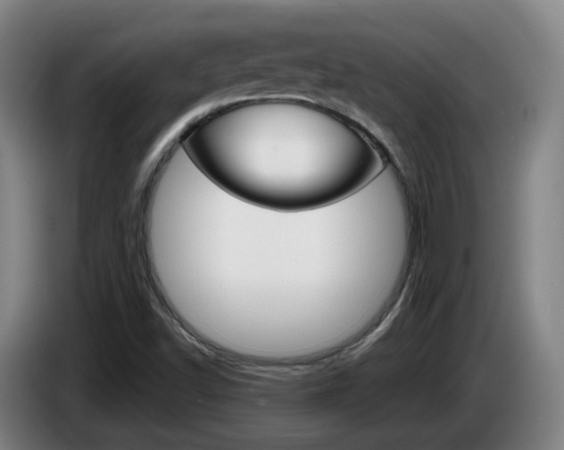 X0000085321502200703091104