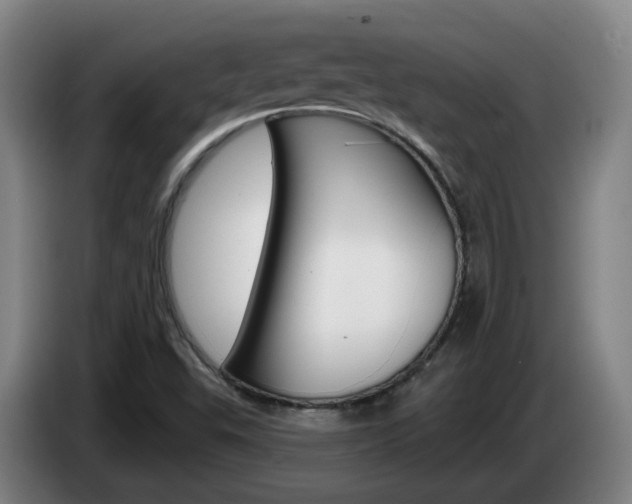 X0000085321503200703091104