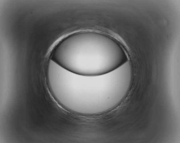 X0000085321504200703091104