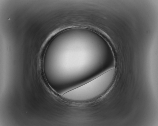 X0000085321506200703091104