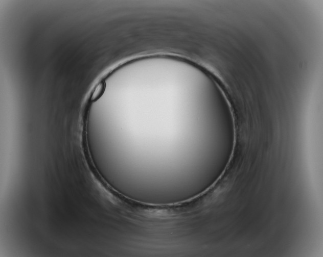 X0000085321508200703091104