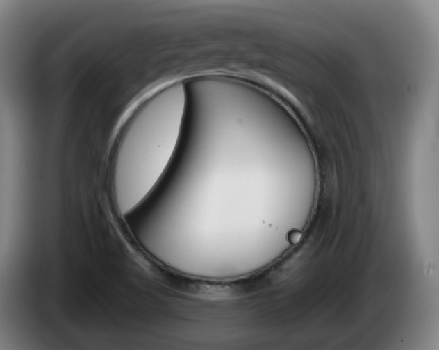 X0000085321509200703091104