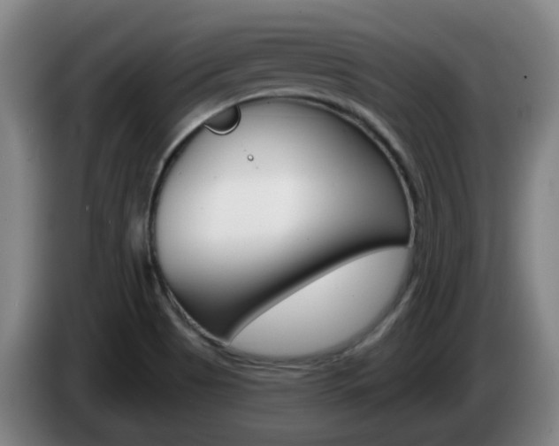 X0000085321513200703091104