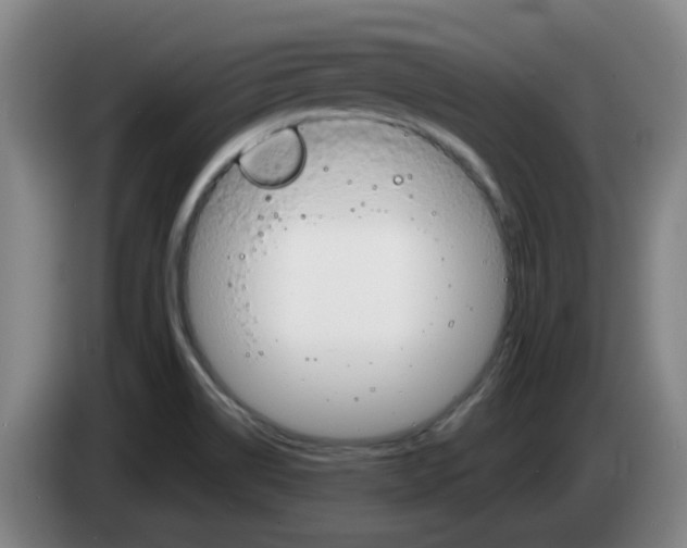 X0000085321514200703091104