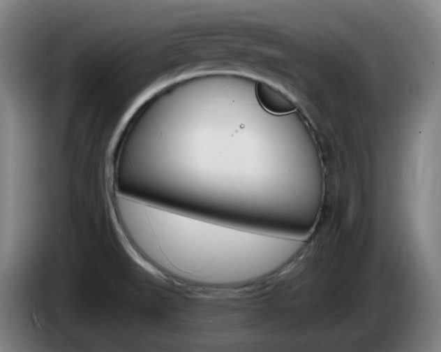 X0000085321519200703091104
