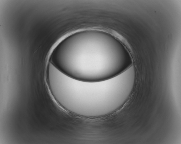 X0000085321520200703091104