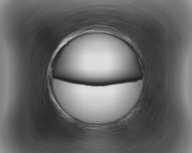 X0000085321522200703091104