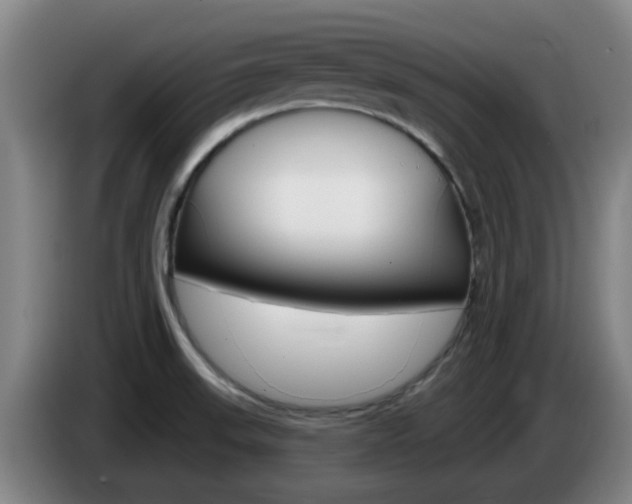 X0000085321523200703091104