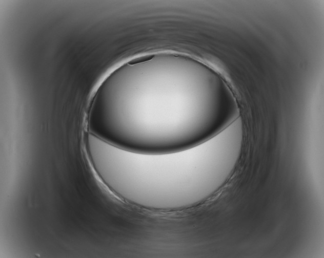 X0000085321524200703091104