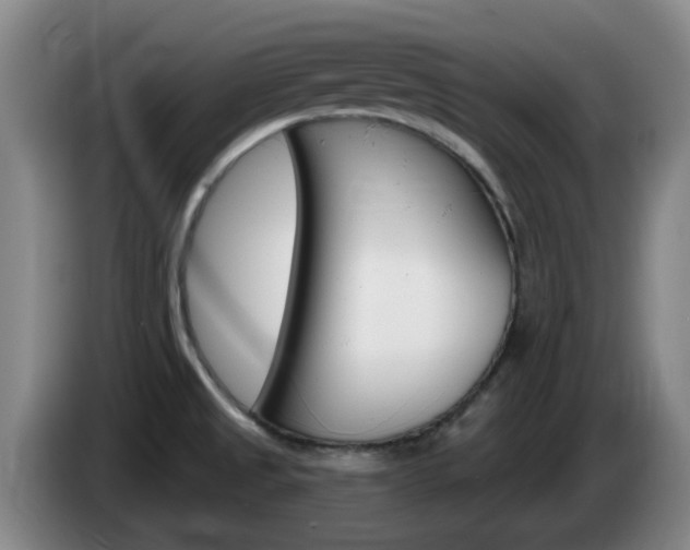 X0000085321525200703091104