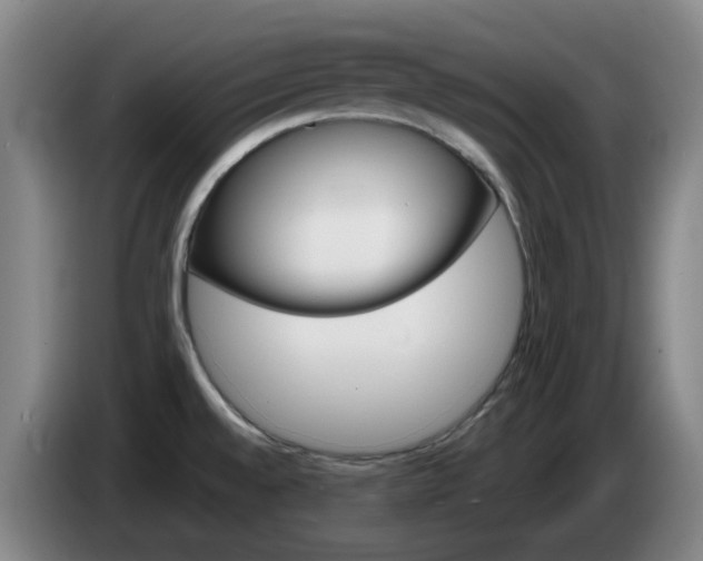 X0000085321528200703091104
