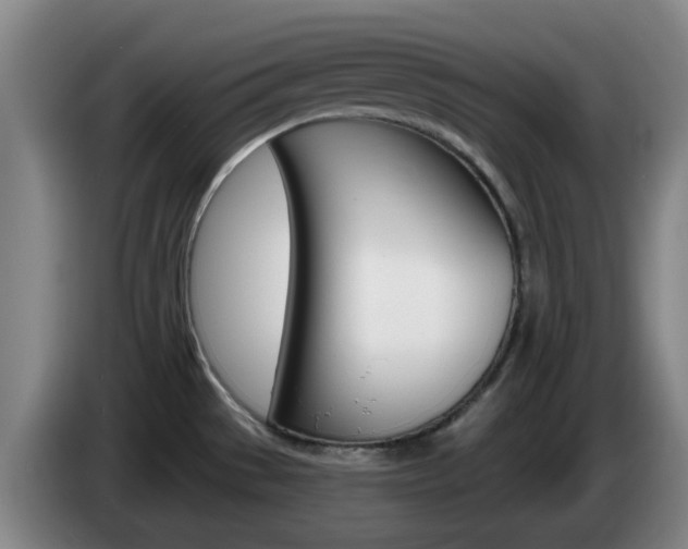 X0000085321529200703091104