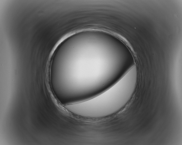 X0000085321530200703091104