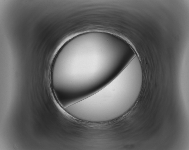 X0000085321531200703091104