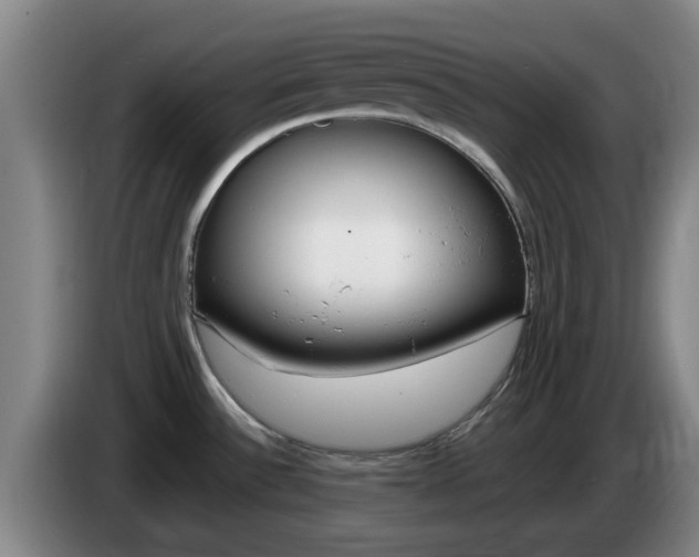 X0000085321532200703091104